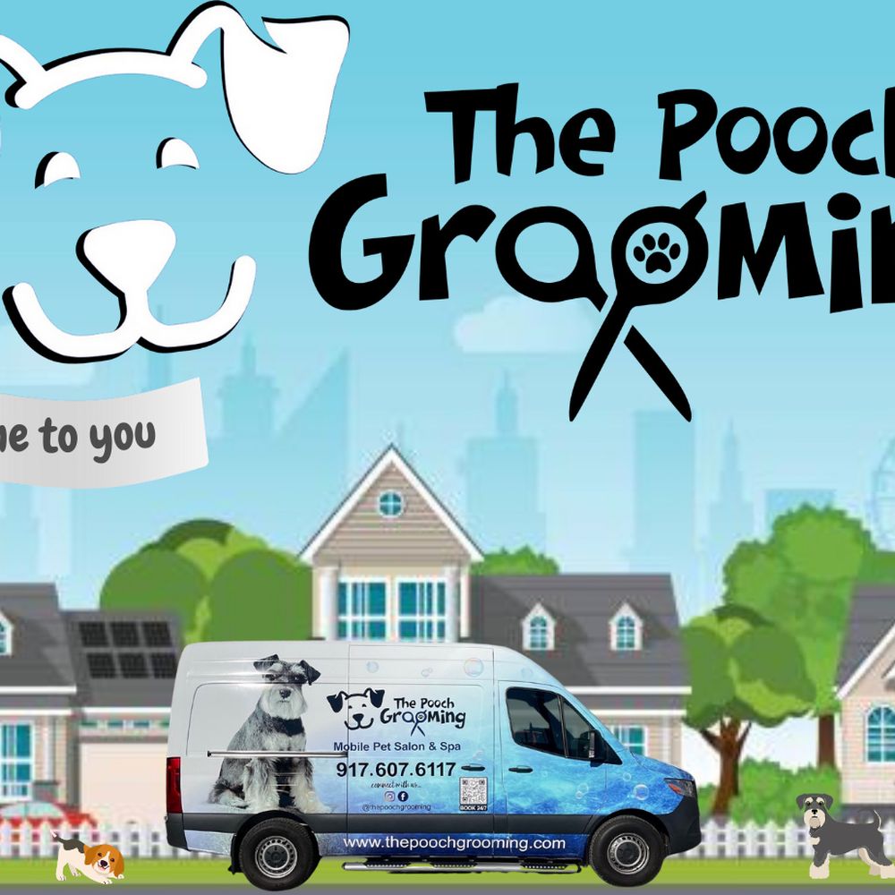 Top Mobile Dog Grooming Near Me – Convenient, Reliable, and Pet-Friendly Services