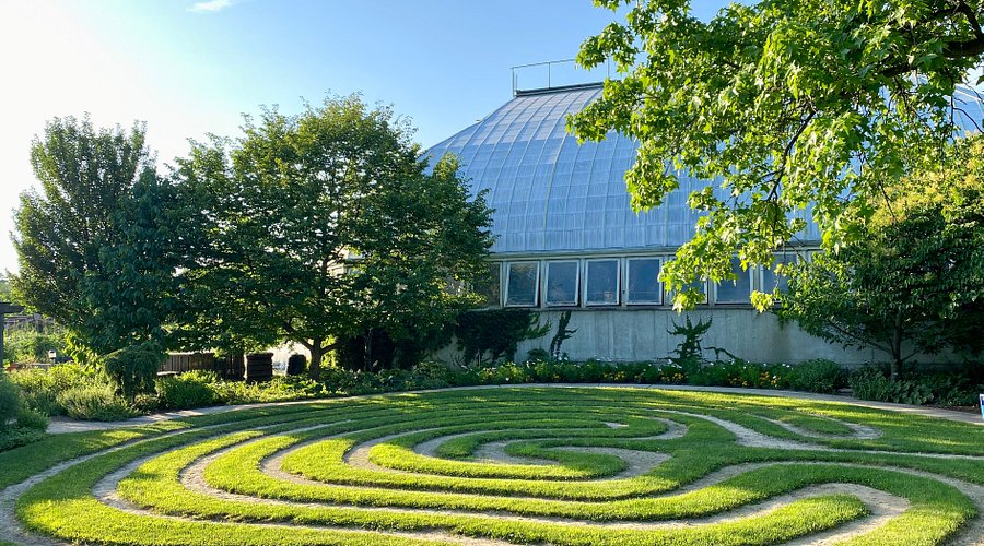Is It Safe to Drive to Garfield Conservatory in Chicago? Everything You Need to Know
