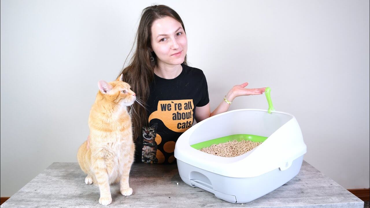 Top Benefits of Cat Litter Sifting Trays: Simplify Cleaning and Reduce Odors