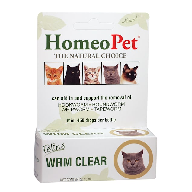 Top Natural Cat Wormer: Home Remedies That Work
