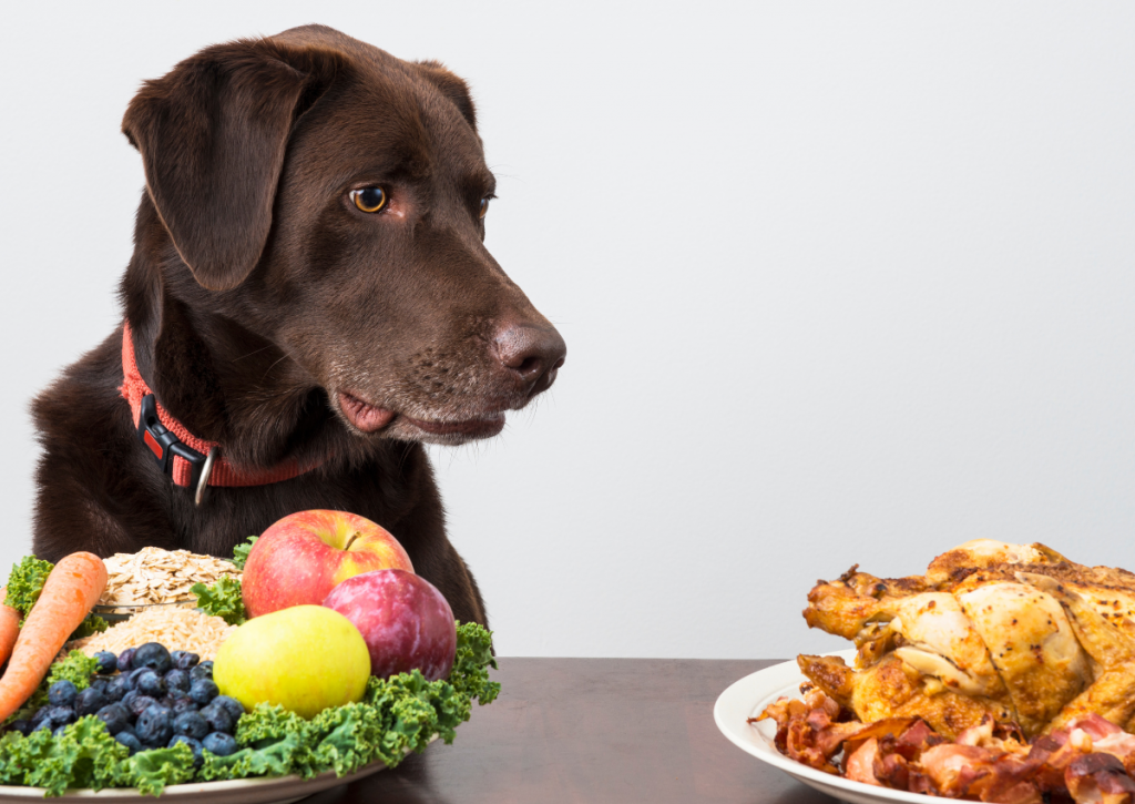 Why Choose Grounded Chicken Bone-In for Your Dog's Diet?