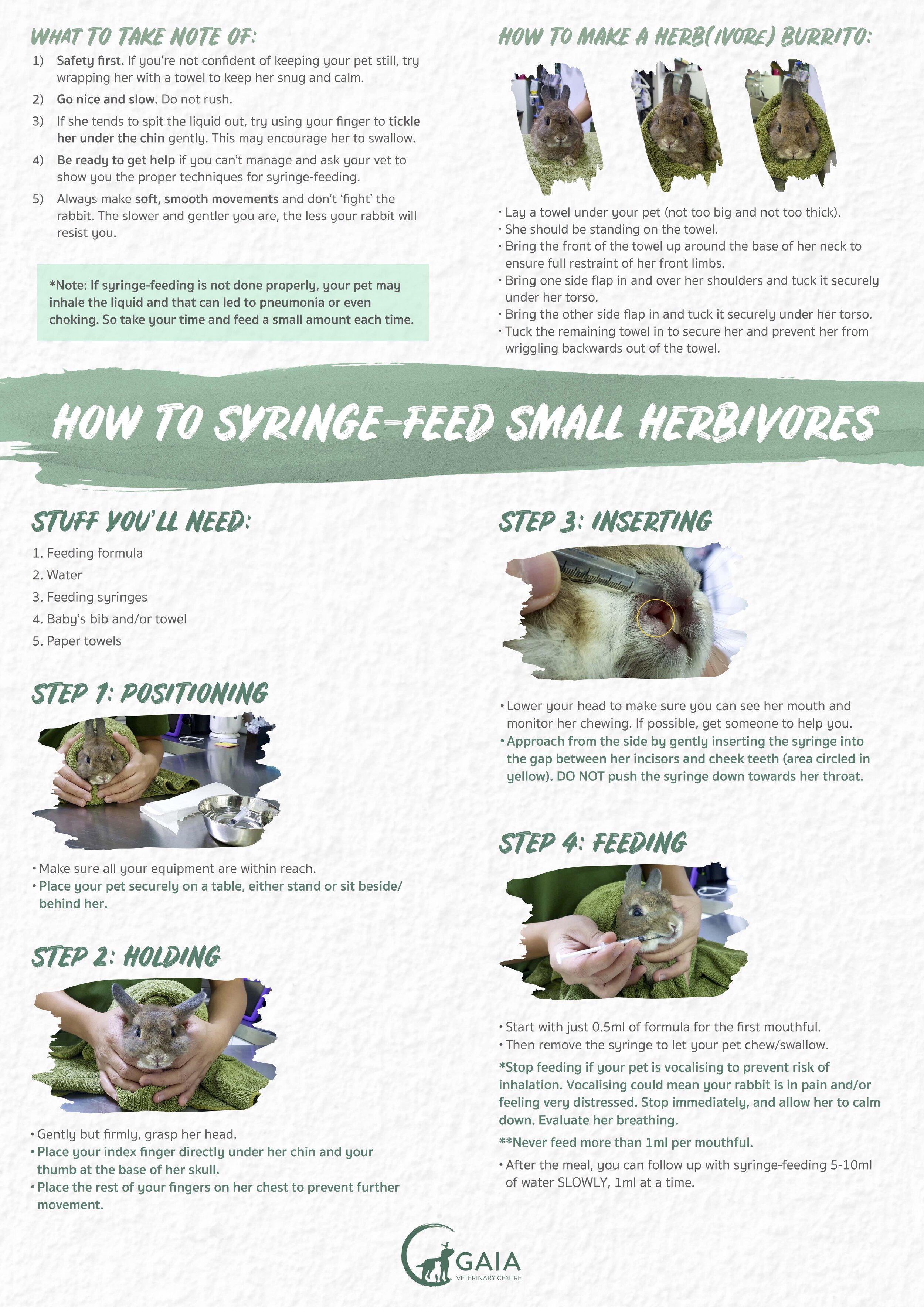 Pet Feeding Syringe Guide: How to Safely Feed Your Pet with a Syringe
