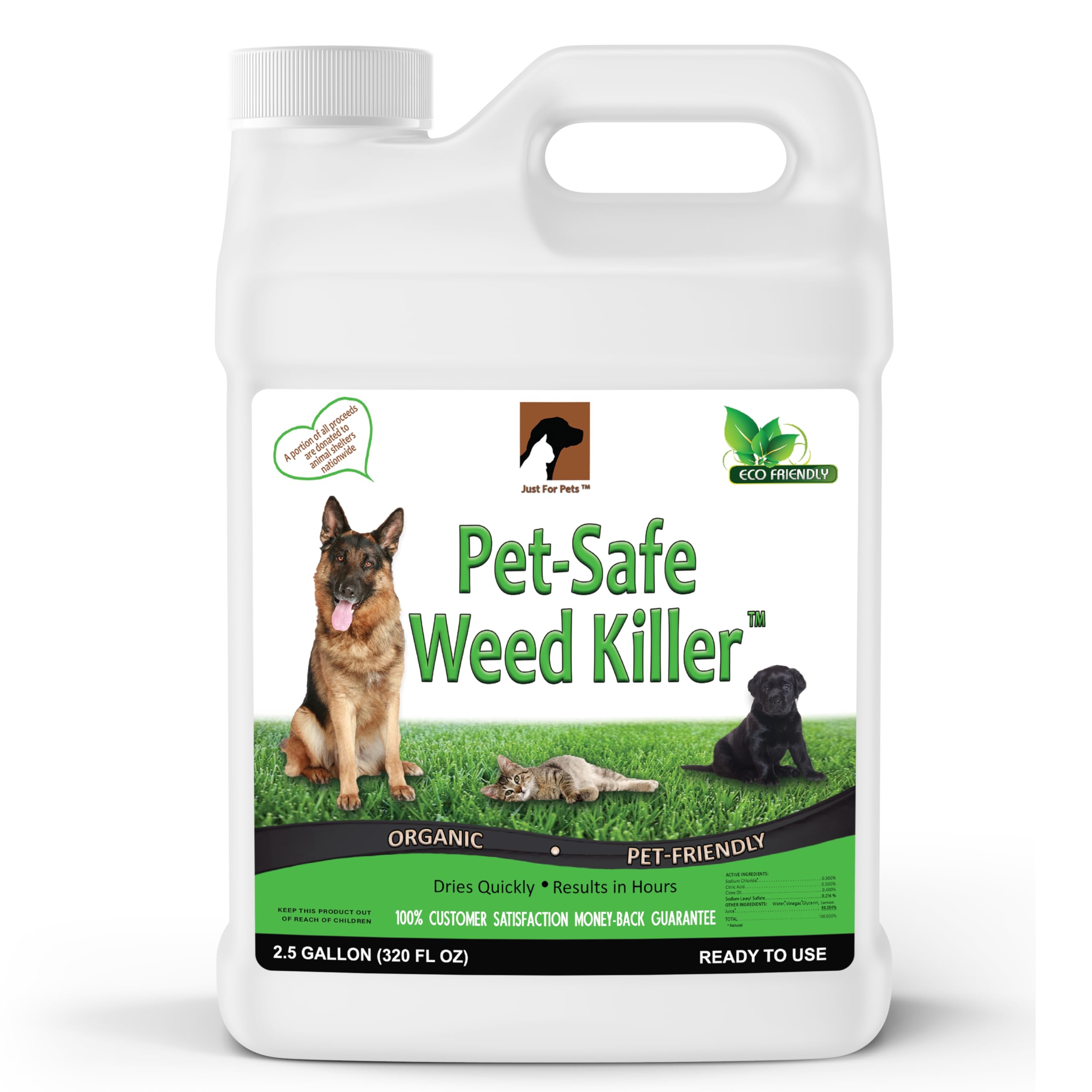 Best Pet Safe Weed and Feed Products for a Healthy Lawn