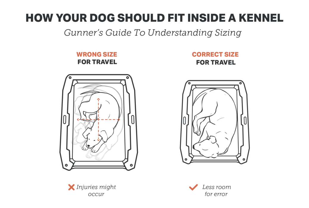 Lab Kennel Size Guide: Choosing Comfort and Security