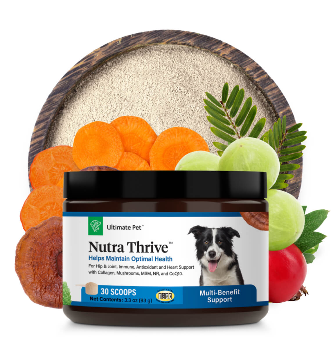 The Ultimate Pet Supplies Blog: Must-Have Products and Expert Advice