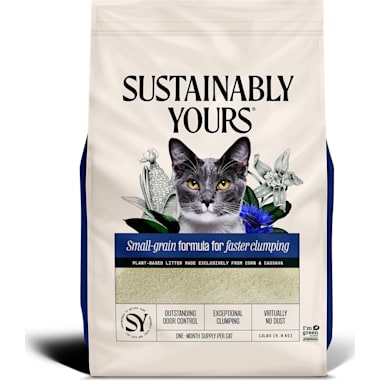 Best Litter for Declawed Cats: Gentle, Safe, and Comfortable Options