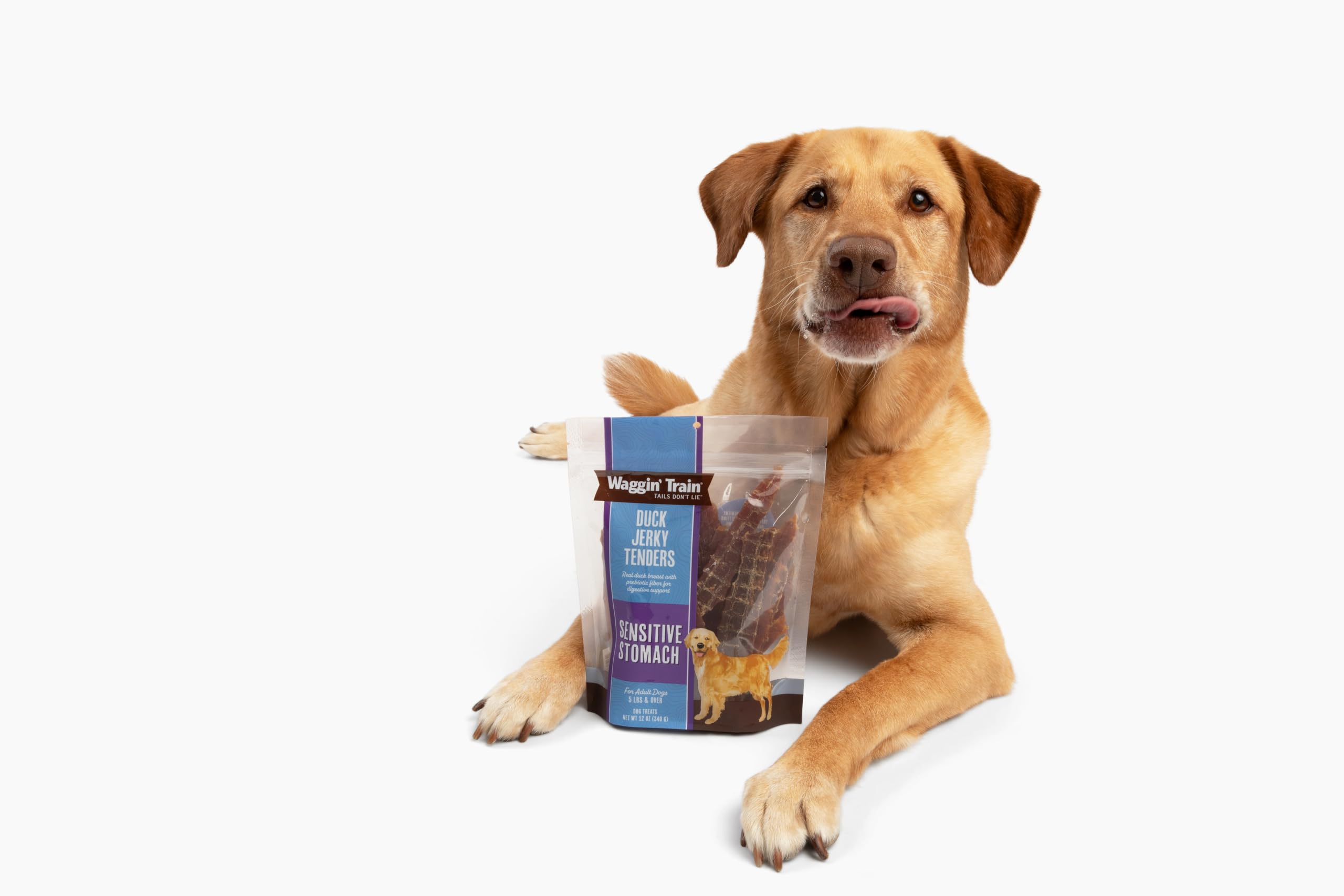 Waggin Tails Pet Supplies: Premium Pet Food, Treats & Essentials