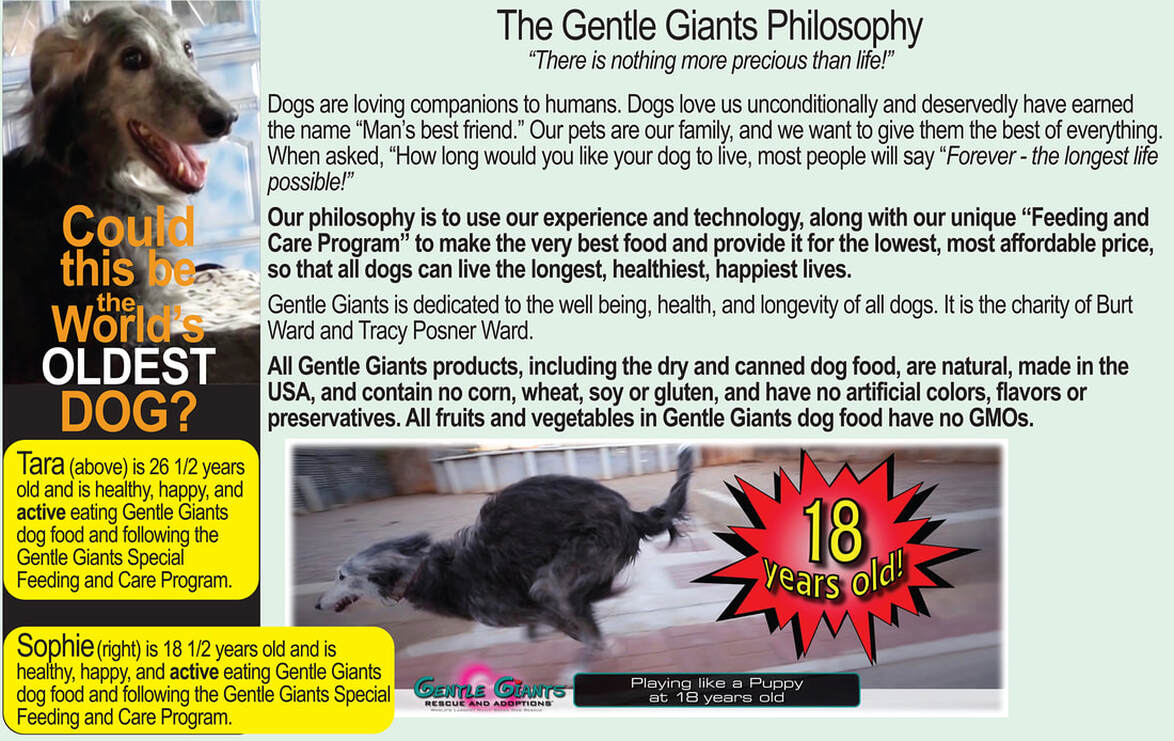 Why Gentle Giant Dog Food Is Perfect for Every Stage of Your Dog's Life