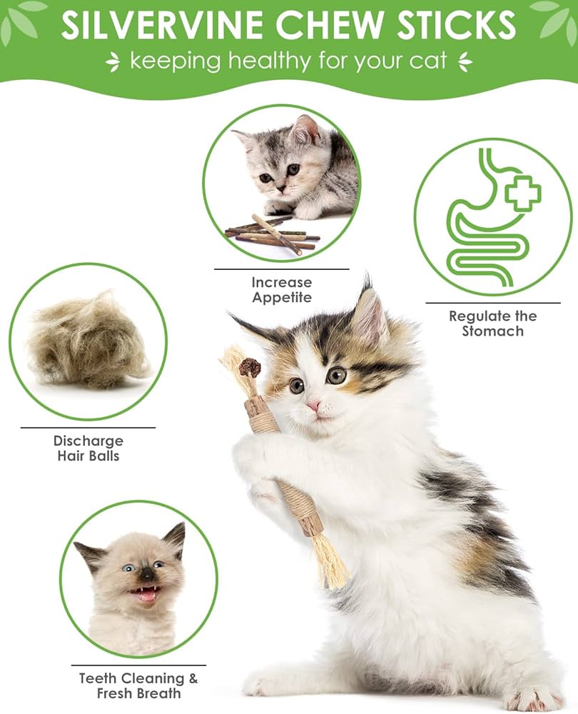 do cats swallow silvervine chew sticks