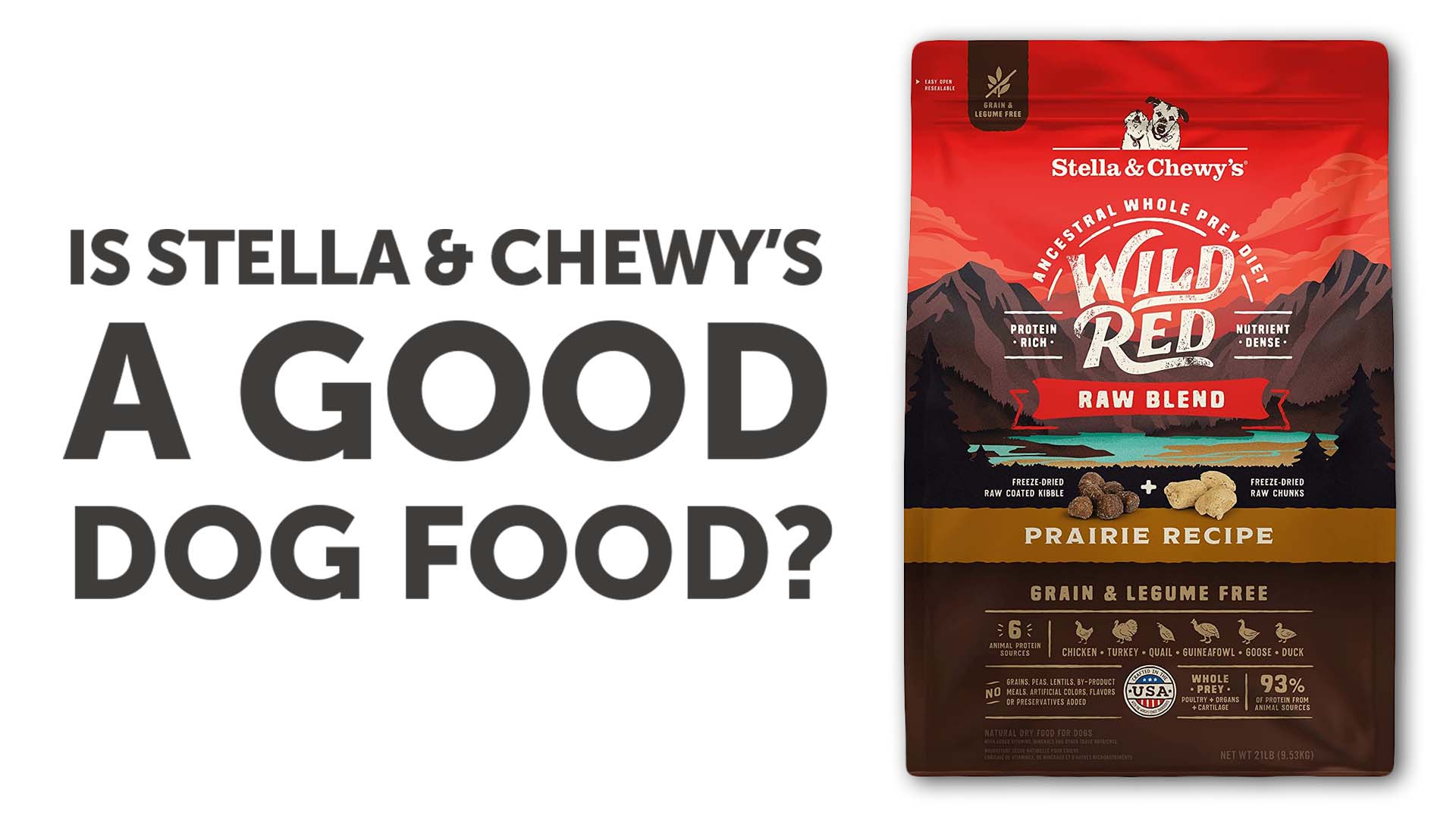 Stella and Chewys Dog Food: A Comprehensive Review of Flavor and Nutrition