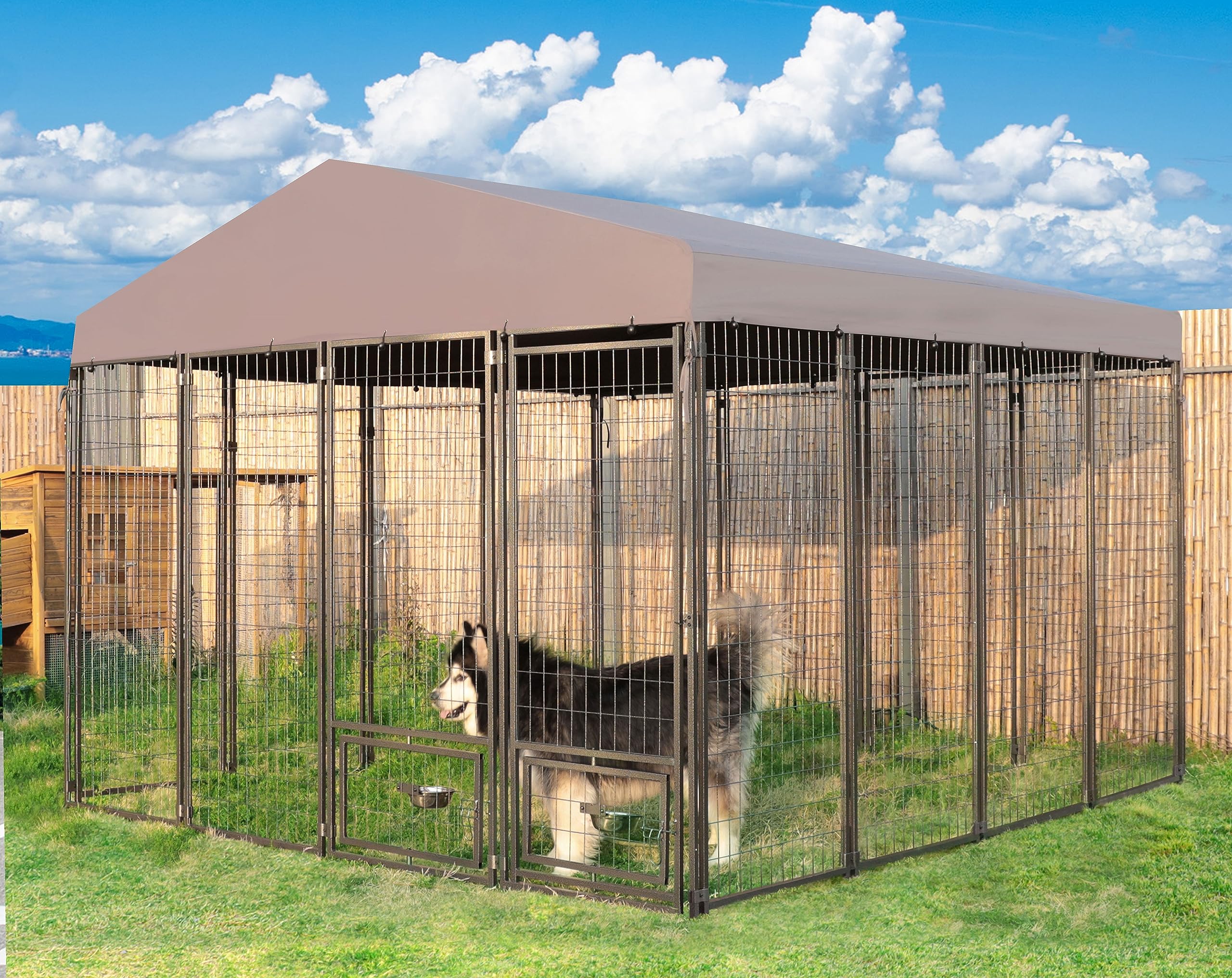 10 x 10 dog kennel