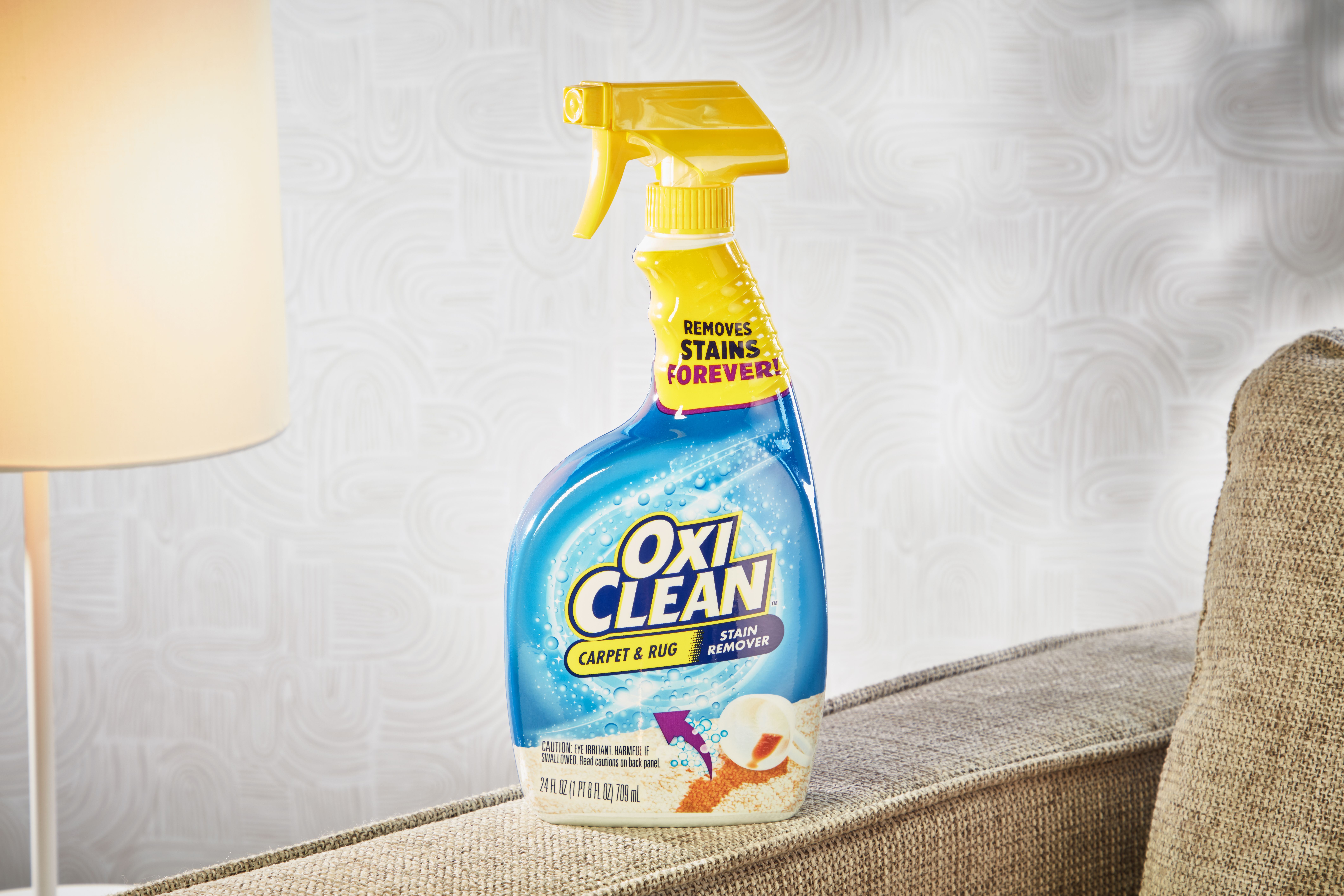 Pet-Friendly Carpet Cleaning Solutions: Safe and Effective for Your Home