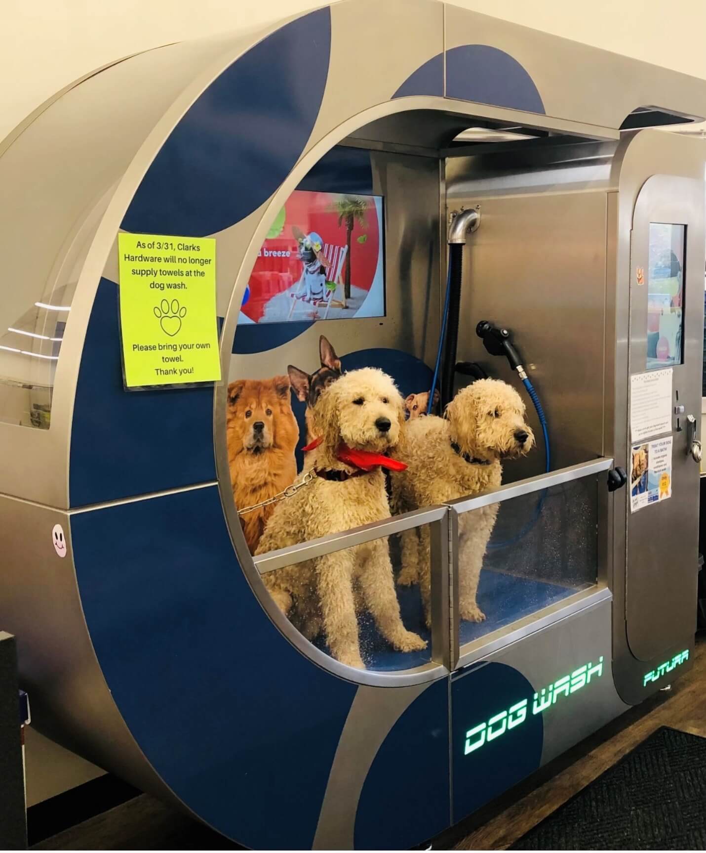 How Long Does an ISSA Pet Wash Station Cleaning Take? Timing Insights