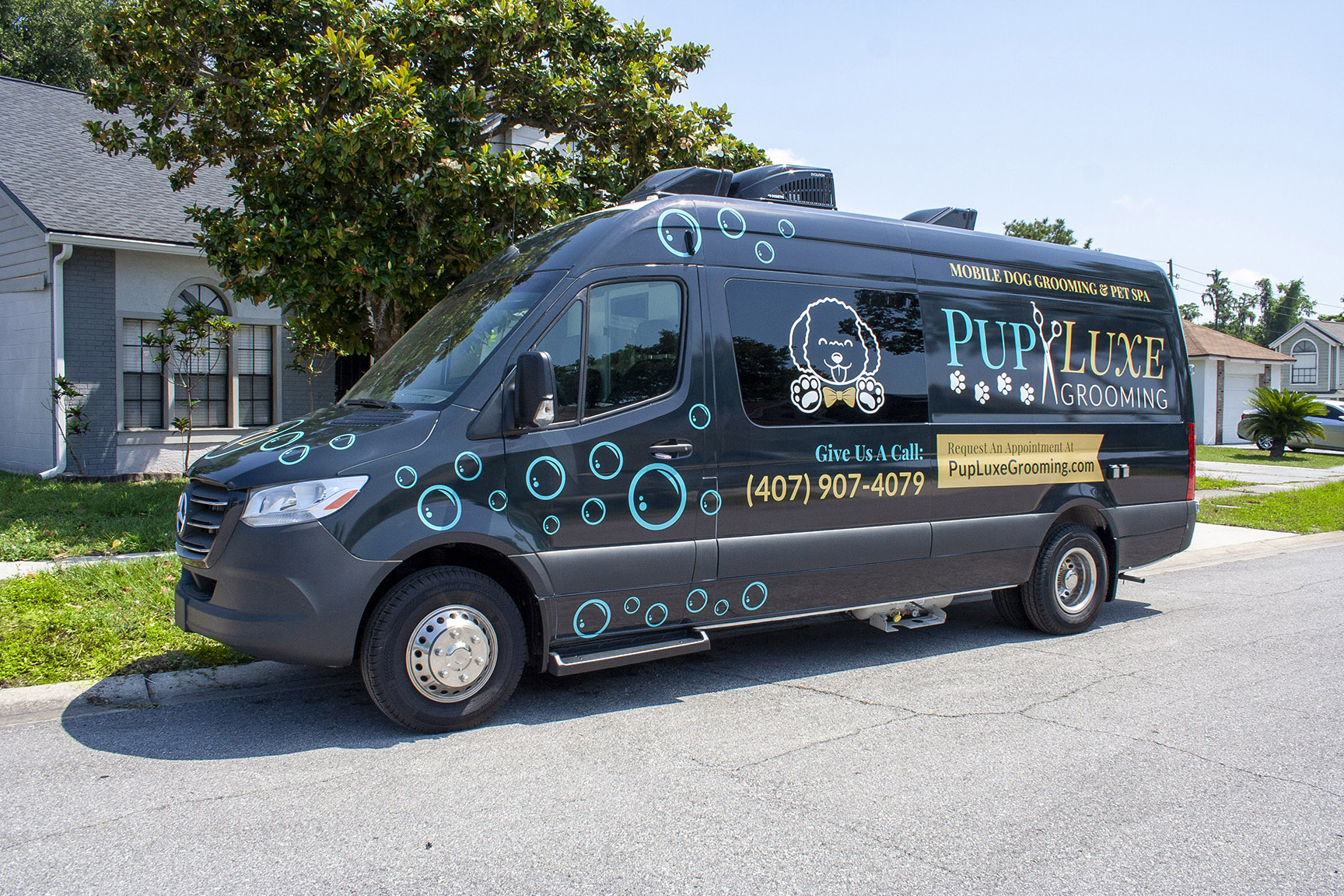 mobile dog groomer