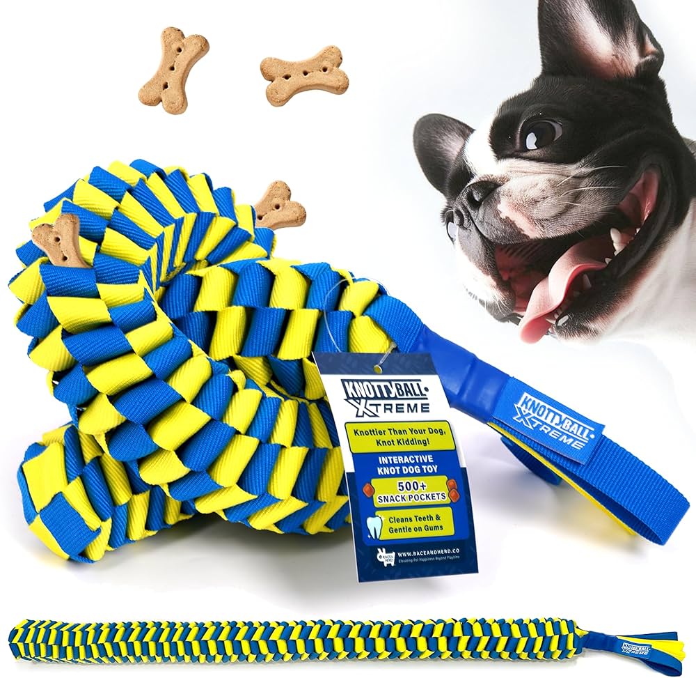 Best Ball and Rope Dog Toy for Active Play and Training