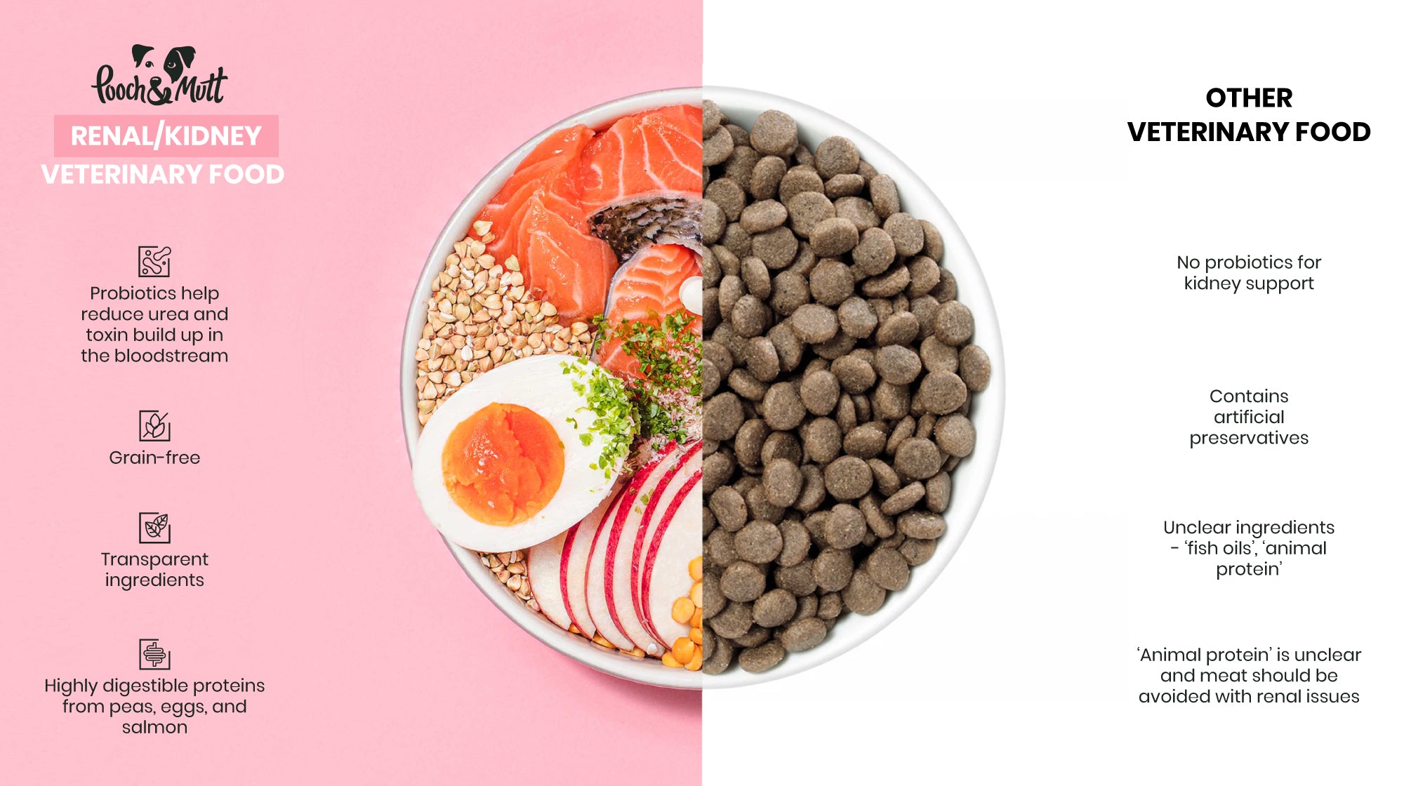 Top Low Phosphorus Dog Foods to Support Kidney Function