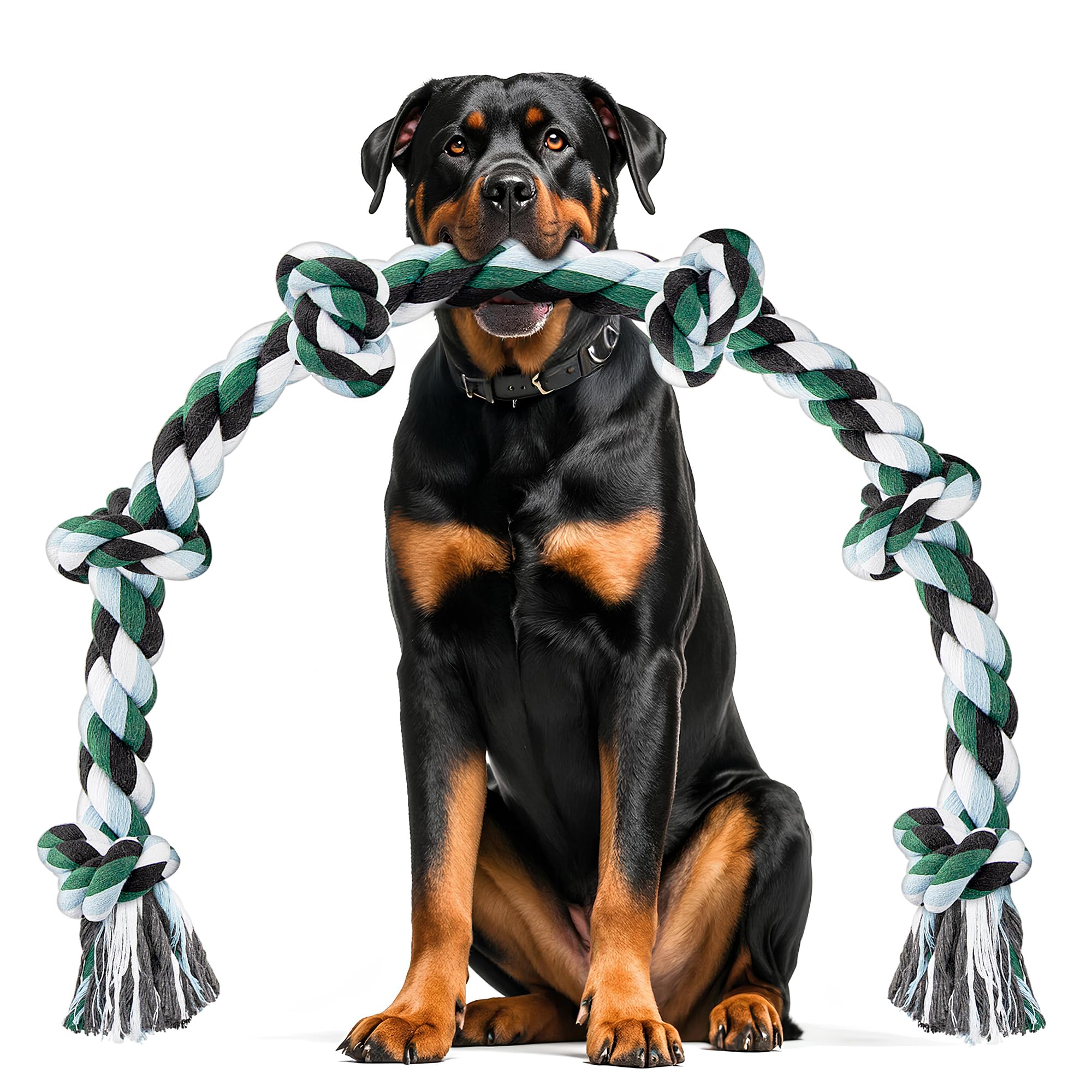 Best Dog Toy on Rope for Large Breeds – Heavy-Duty & Safe for Tough Chewers