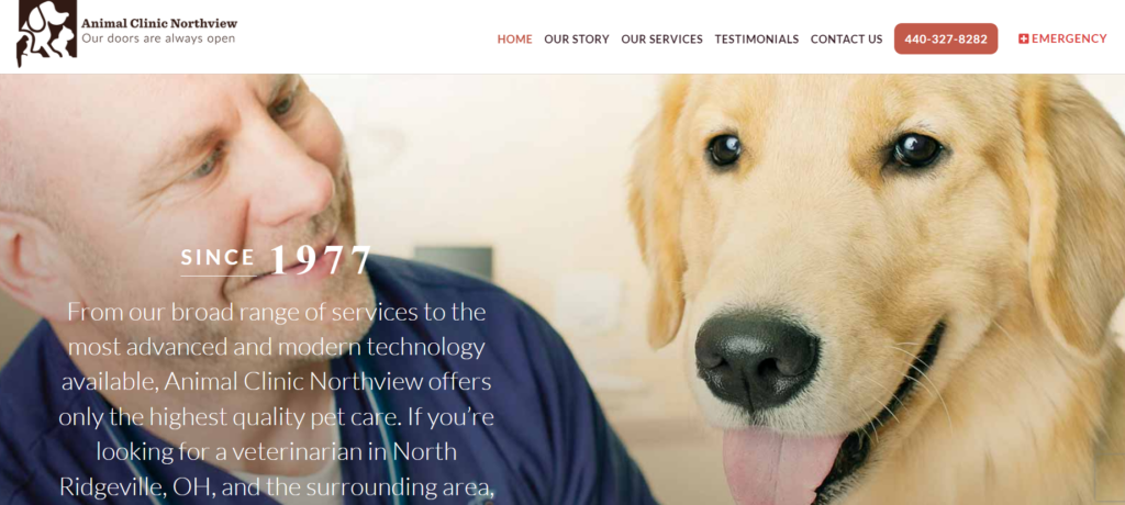 Find Quality All Pets Vet Care in Lorain, Ohio – Your Local Pet Health Experts