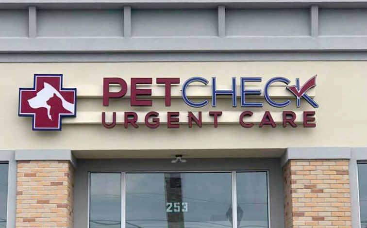 Immediate Help for Your Pet in Deptford: Urgent Care Tips and Services