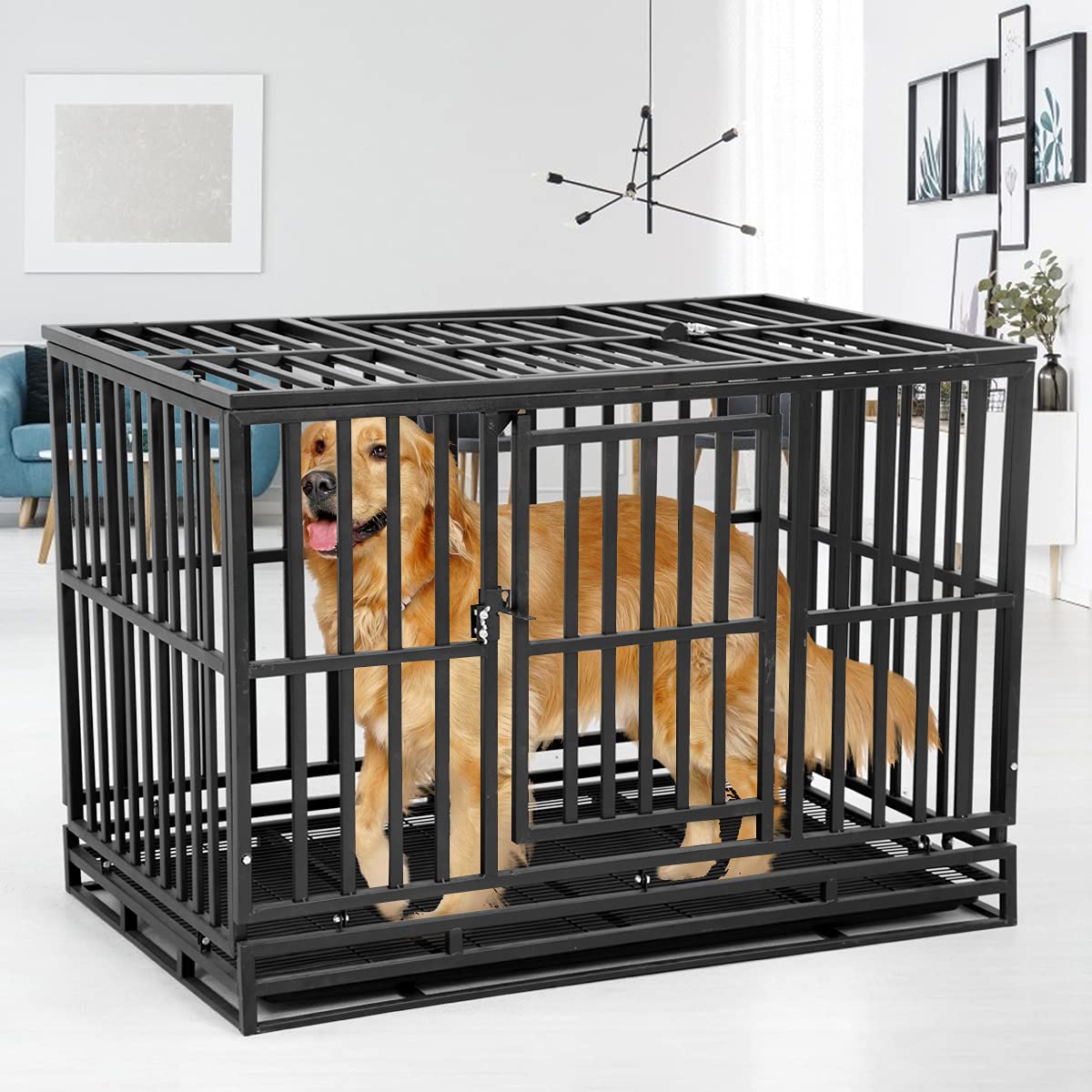 48 Inch Heavy Duty Dog Crate: Ultimate Guide & Review