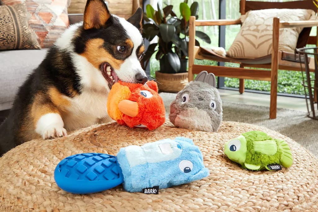 Best Pet Toys for Small Dogs: Top Picks for Your Tiny Pooch