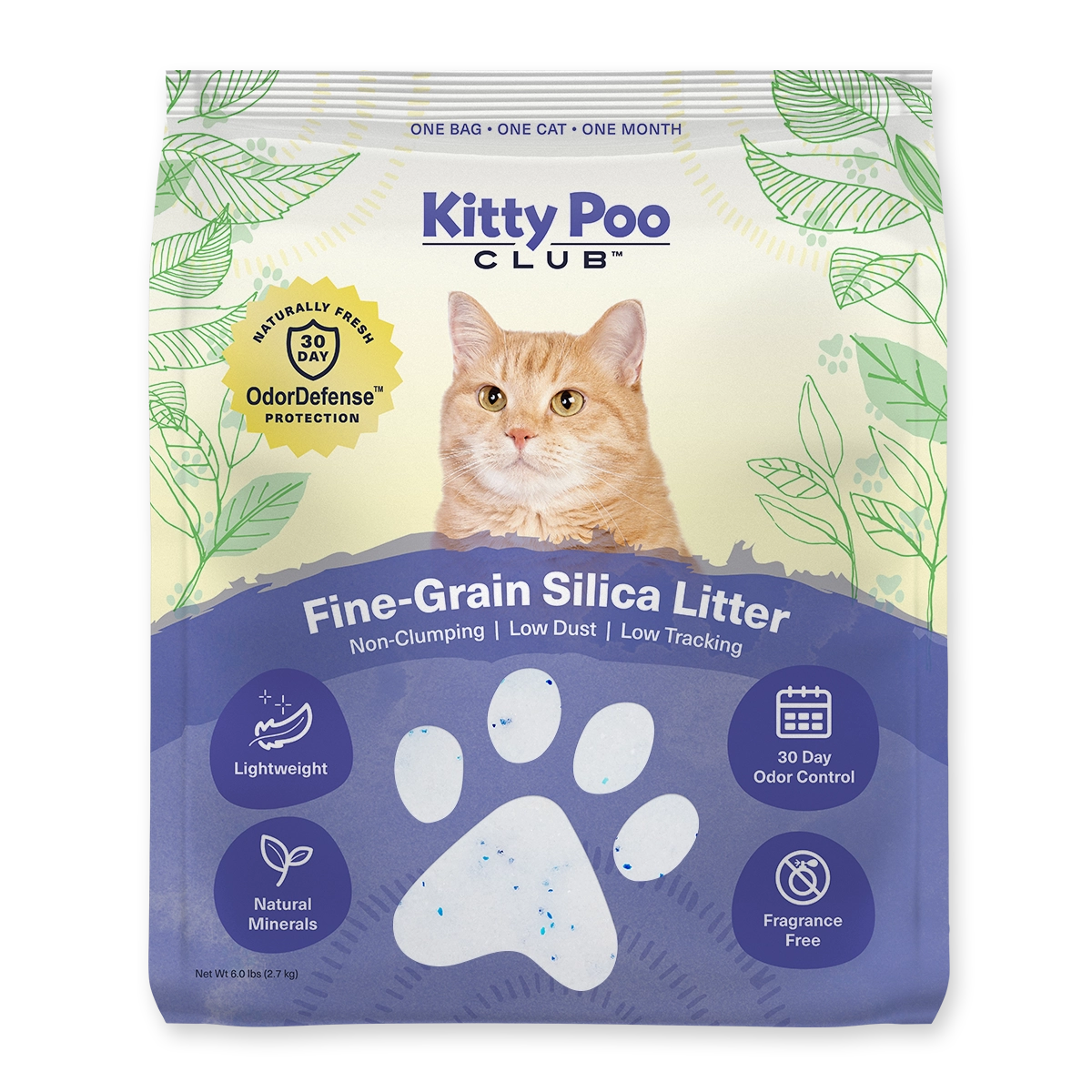 Is 16lb of Cat Litter Sufficient for Monthly Use? Find Out!