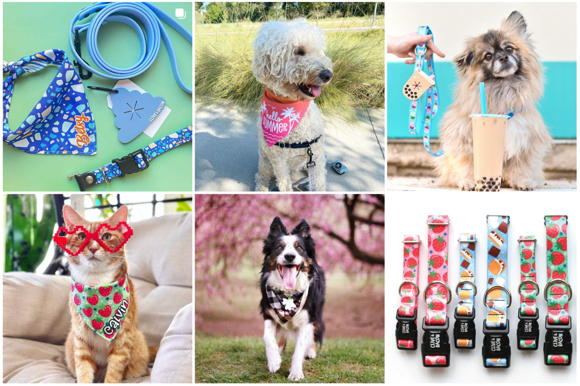 The Ultimate Pet Supplies Blog: Must-Have Products and Expert Advice