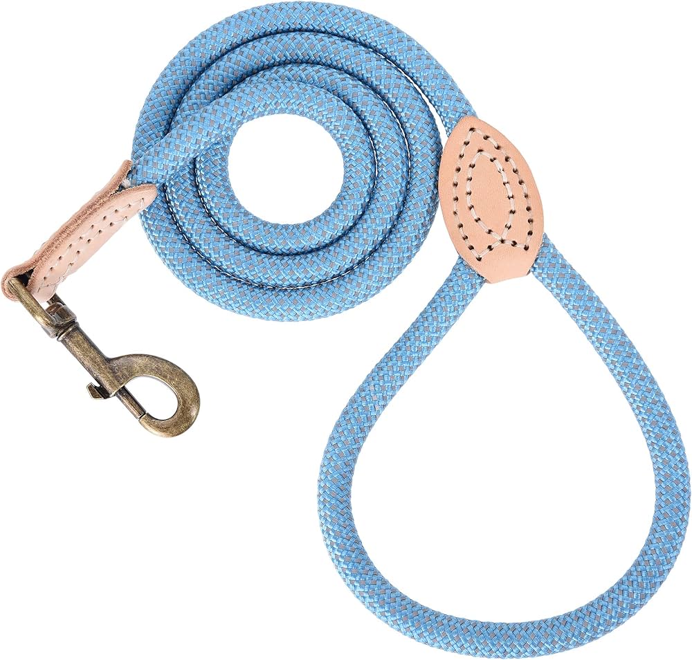 Strong & Durable Dog Leash: Made with Climbing Rope
