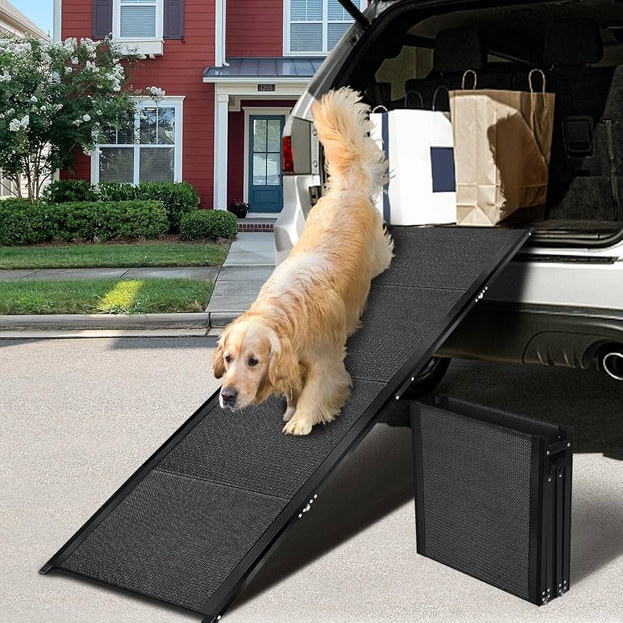 pet ramp for car