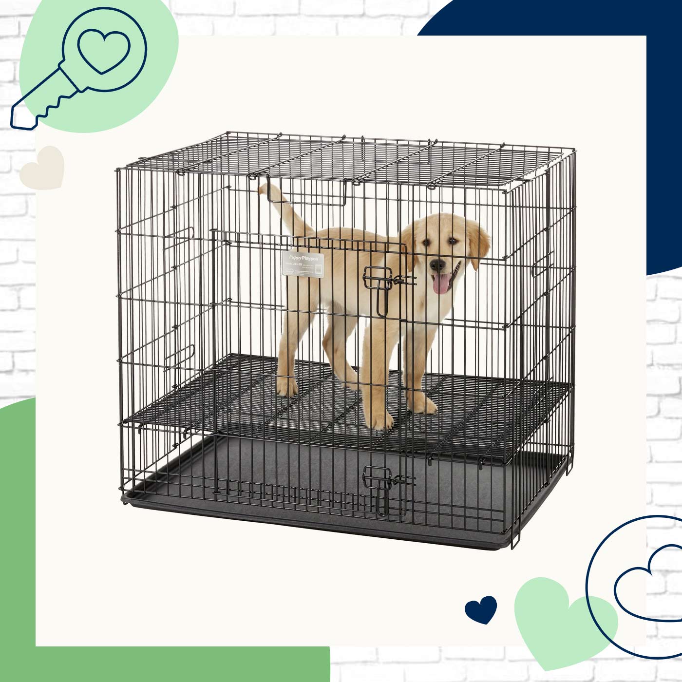 What Size Crate for a Labrador? A Comprehensive Guide