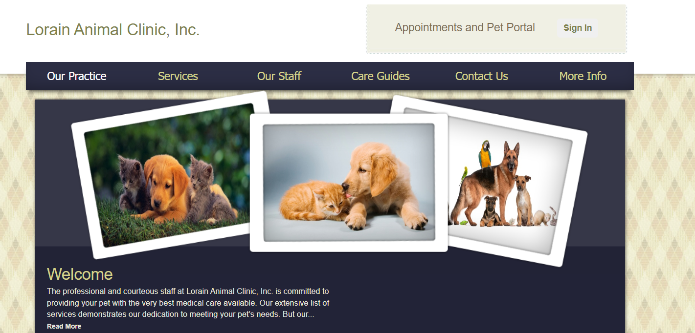 Find Quality All Pets Vet Care in Lorain, Ohio – Your Local Pet Health Experts