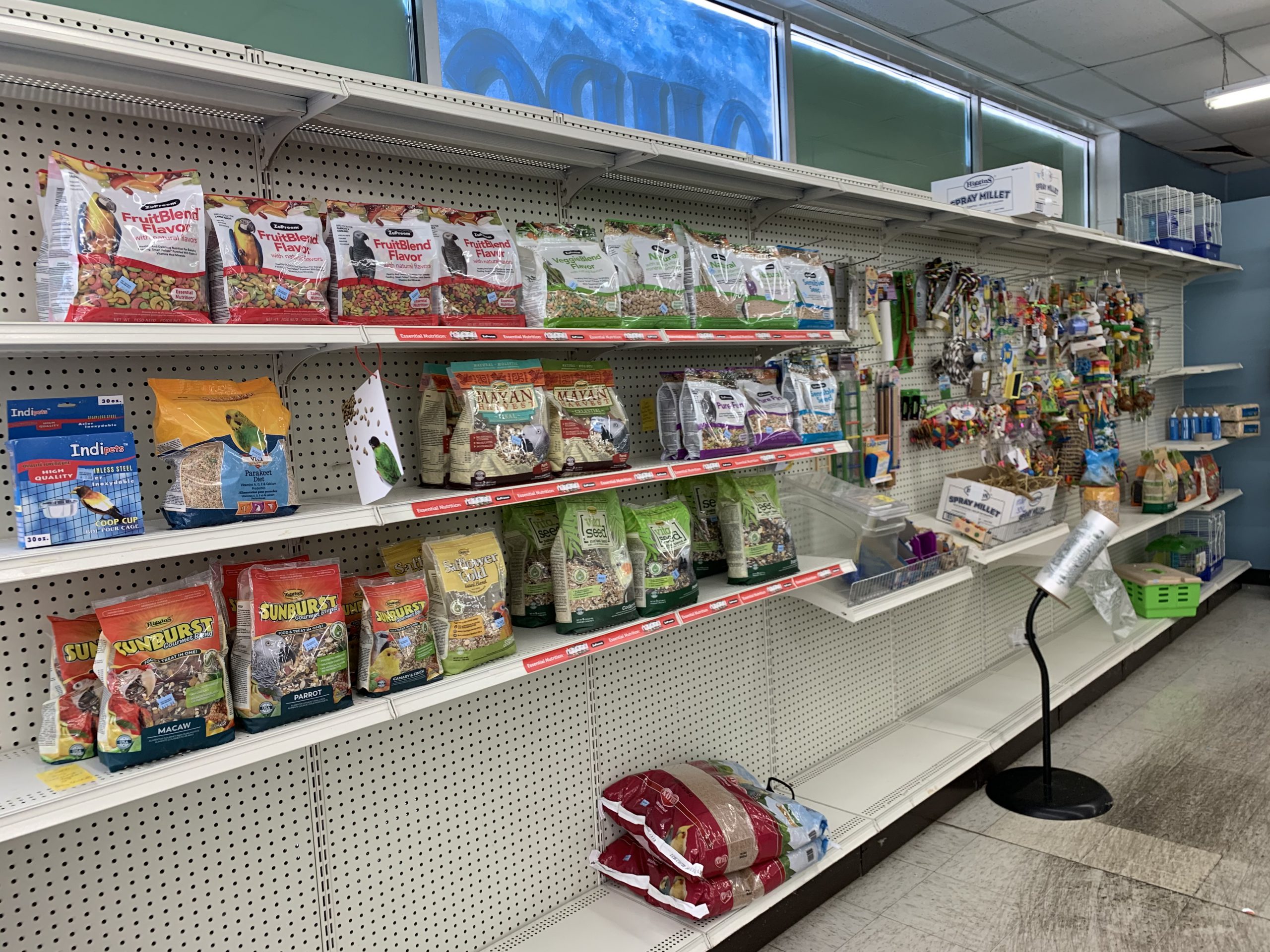 Pet Supplies in Cantley, CA – Your One-Stop Shop for Food, Toys & Essentials