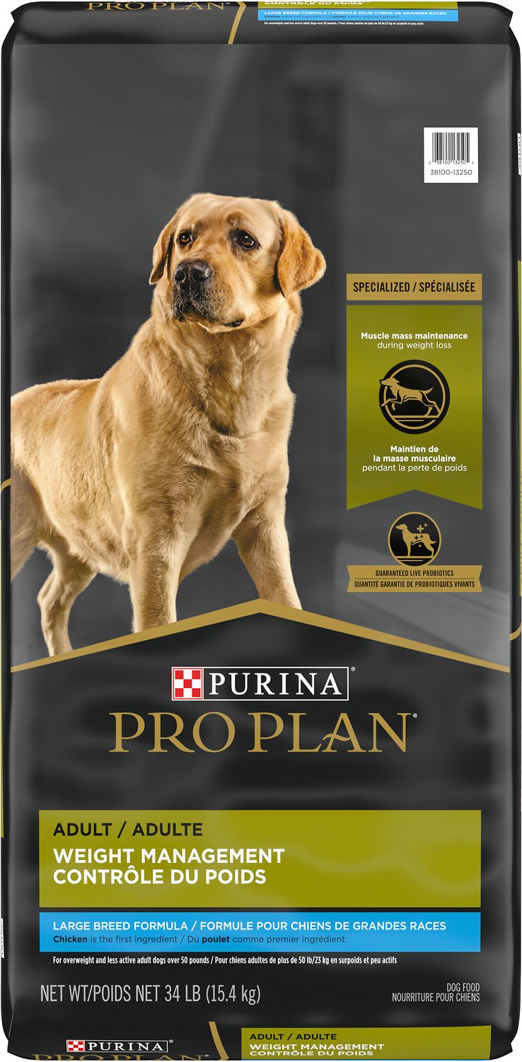 Best Purina Dog Food for County Pounds: Feeding Shelter Dogs the Right Way