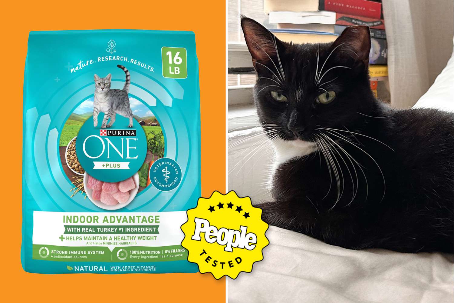 Top Small Bags of Cat Food for Small Cats: Nutritious Choices for Your Pet