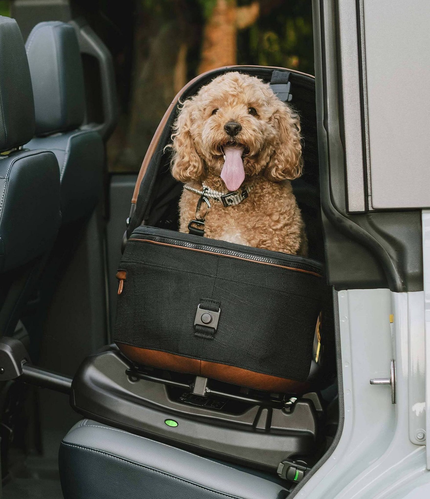 Shop the Tavo Pet Car Seat for Ultimate Pet Safety & Comfort
