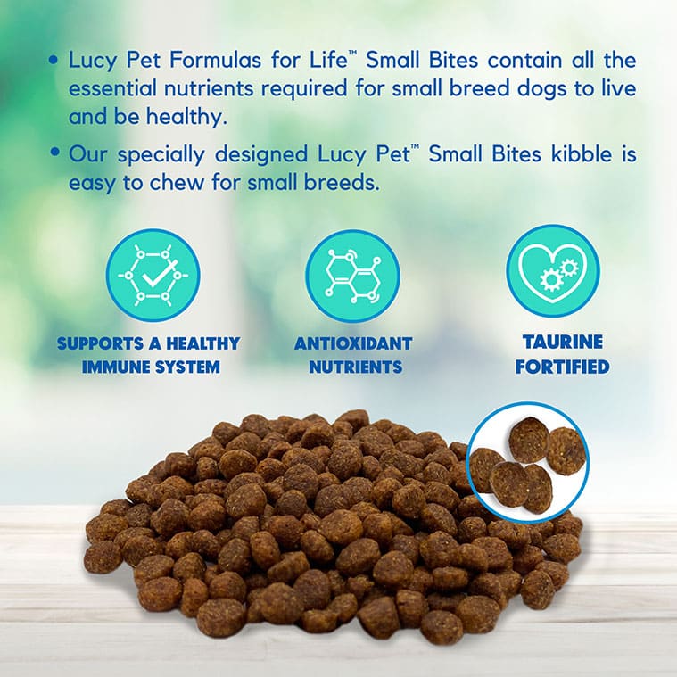 What's Inside Lucy Vegetarian Dog Food? Key Ingredients for Your Dog's Health