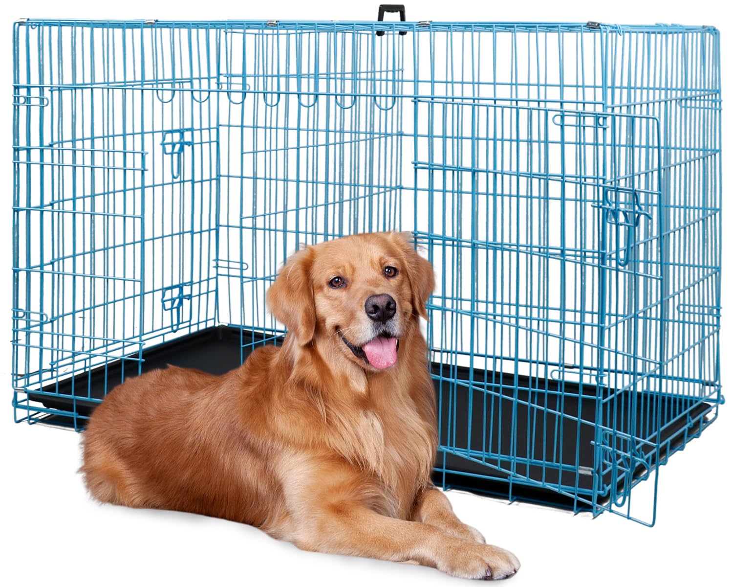 Best Golden Retriever Crate Size: 42 Inches or 34 Inches?