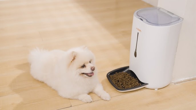 How to Use WOpet Automatic Pet Feeder: Complete User Manual
