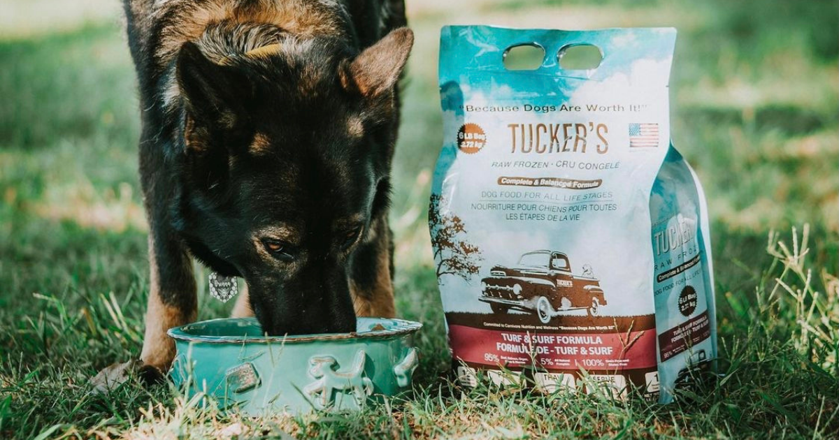 Discover Tuckers Pet Food: Made in Wisconsin with Human-Grade Standards