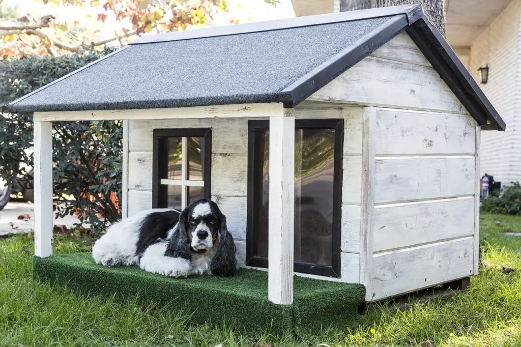 Best Heated Dog Houses for Winter Comfort and Safety