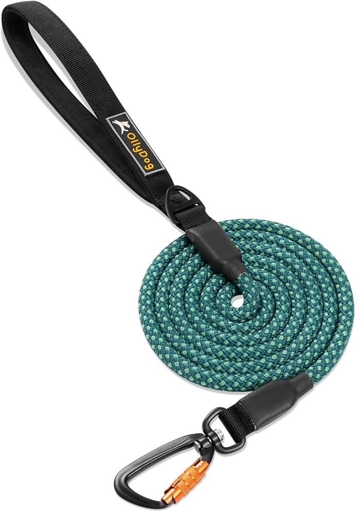 Best Rock Climbing Rope Dog Leash: Top Durable Leashes for Active Dogs