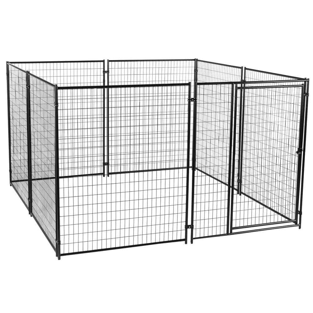 10 x 10 dog kennel