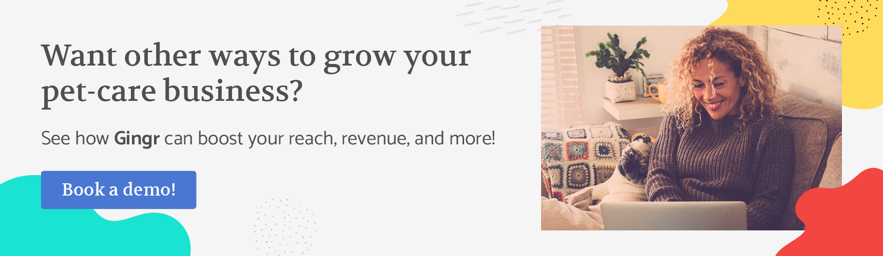 start a pet care blog