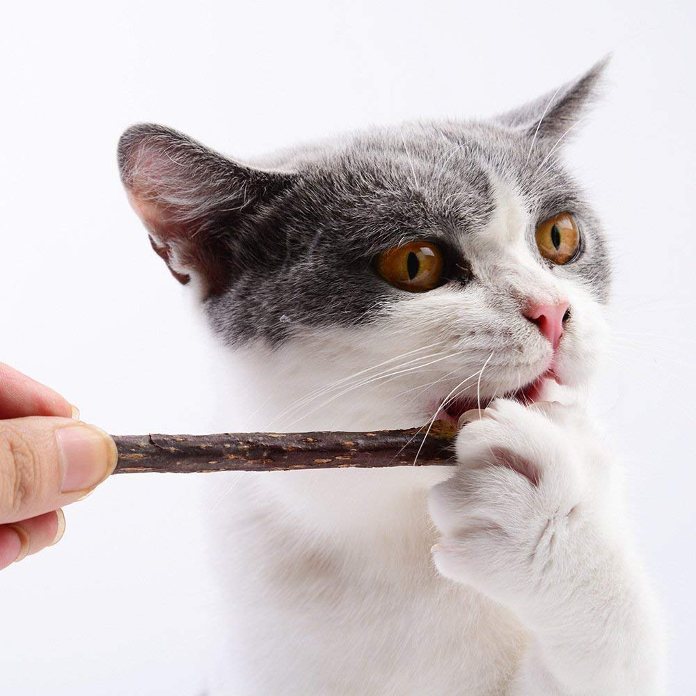 do cats swallow silvervine chew sticks