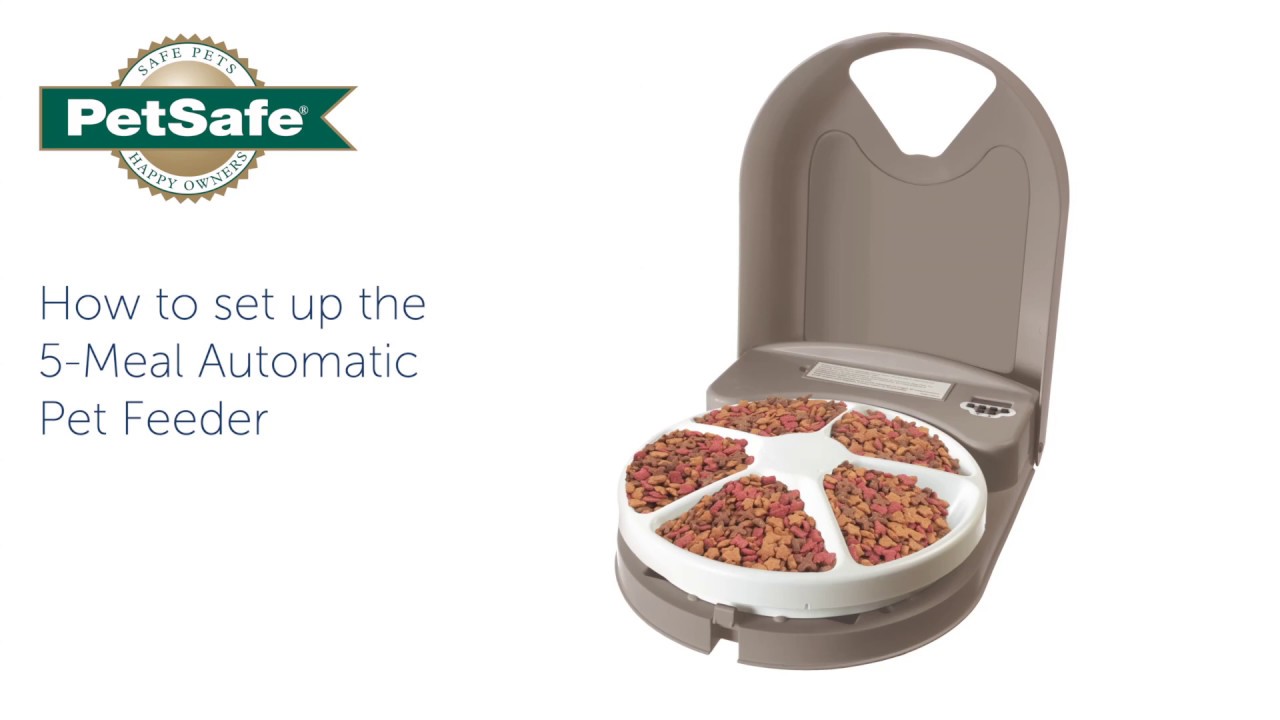 Complete Guide to the PetSafe Pet Feeder Manual: Setup, Reset & FAQs