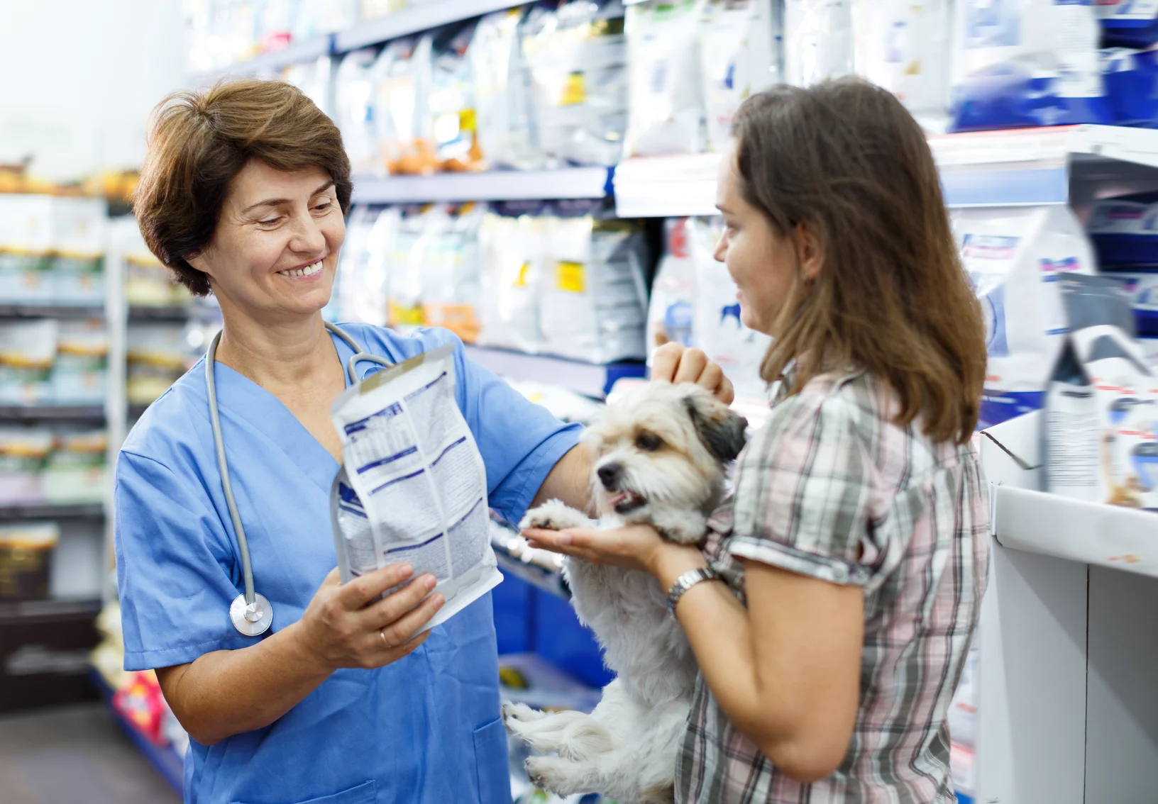 24/7 Emergency Animal Hospital: All City Pet Care is Ready to Help