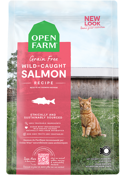 Best Wild-Caught Salmon Recipe Dry Cat Food: Omega-3 Rich & Nutritious
