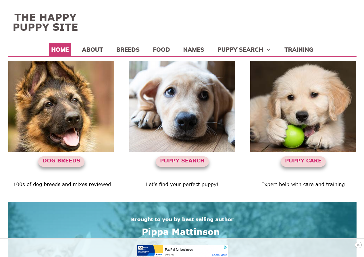 start a pet care blog