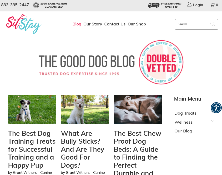 start a pet care blog