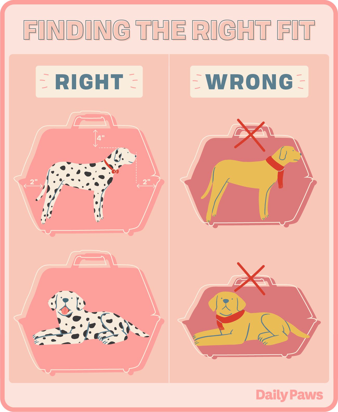 What Size Kennel is Best for a Golden Retriever? Tips for Choosing the Right Crate